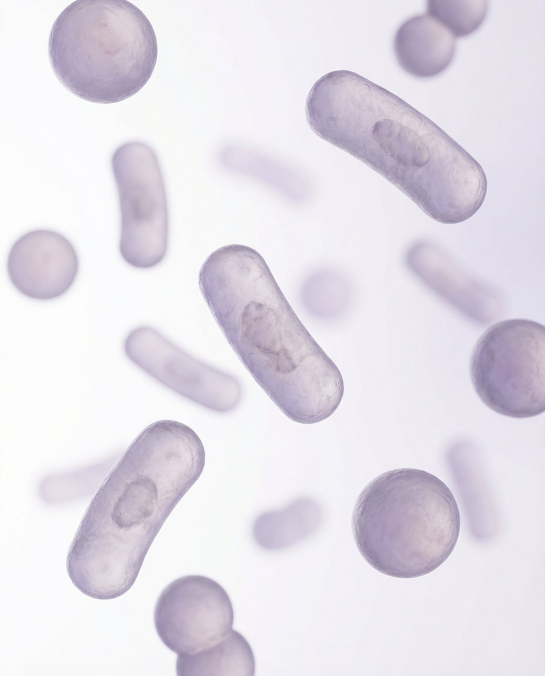 ¿Las bacterias manchan la piel?